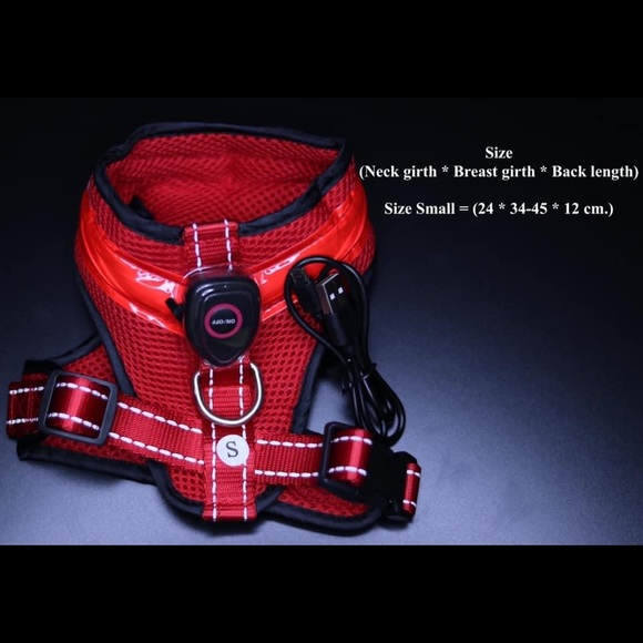 LED dog Harness rechargeable with USB - Picture 2 of 5